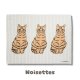 Noisettes