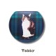 Tabby