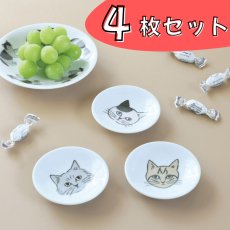 画像1: 【松尾ミユキ / Matsuo Miyuki】＼４枚セット／ Plate S プレートＳ皿｜Chloe/Pepper/Noisettes/Pumpkin｜ねこ猫ネコcat (1)