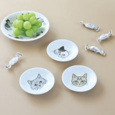 画像7: 【松尾ミユキ / Matsuo Miyuki】Plate S プレートＳ皿｜４種類から選べる Chloe/Pepper/Noisettes/Pumpkin｜ねこ猫ネコcat (7)