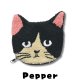 Pepper