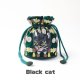 Black cat