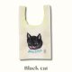 Black cat