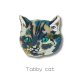 Tabby cat