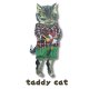 Tabby cat
