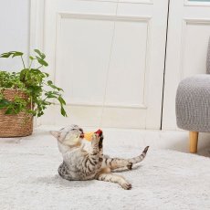 画像1: 【Petio／ペティオ】けりぐるみ de じゃらし ミニエビ天｜おもちゃ｜運動・気分転換に (1)