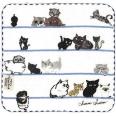 画像1: 【Shinzi Katoh（R）】シャトン 泉州タオル　日本製｜タオルハンカチ　ボーダー猫｜ネコねこcat (1)