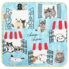 画像1: 【Shinzi Katoh（R）】シャトン 泉州タオル　日本製｜タオルハンカチ　猫窓ライトブルー｜ネコねこcat (1)