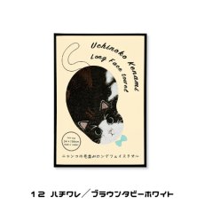 画像19: 【うちの子メイト / Uchinoko mate】にゃんこシリーズ 今治タオル うちのニャンコ 毛並みロングフェイスタオル｜選べる♪ 茶虎/ぶち/ハチワレ/サバトラ/ミケ/ロゼット/黒猫/白猫/シャム/錆サビ/ハチワレクリーム/ハチワレ茶｜ねこネコ (19)