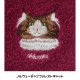 ノルウェージャンフォレストキャット