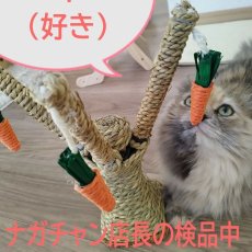 画像1: 国内発送｜ペット用品　天然サイザル麻　人参じゃらし付きキャットツリー★ミニ｜ミニキャットポール｜かじかじ　爪とぎ｜おもちゃ　運動　気分転換　スキンシップ　リラックス (1)