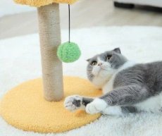 画像5: 国内発送｜ペット用品　天然サイザル麻　ゆらゆらボール＆お花のキャットポール★ミニ｜ピンク｜ミニキャットツリー｜かじかじ爪とぎガリガリ｜おもちゃ　運動　気分転換　スキンシップ　リラックス　組み立て簡単　子猫ちゃんに (5)