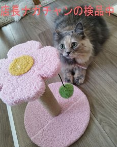 画像9: 国内発送｜ペット用品　天然サイザル麻　ゆらゆらボール＆お花のキャットポール★ミニ｜ピンク｜ミニキャットツリー｜かじかじ爪とぎガリガリ｜おもちゃ　運動　気分転換　スキンシップ　リラックス　組み立て簡単　子猫ちゃんに (9)