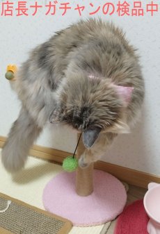 画像10: 国内発送｜ペット用品　天然サイザル麻　ゆらゆらボール＆お花のキャットポール★ミニ｜ピンク｜ミニキャットツリー｜かじかじ爪とぎガリガリ｜おもちゃ　運動　気分転換　スキンシップ　リラックス　組み立て簡単　子猫ちゃんに (10)