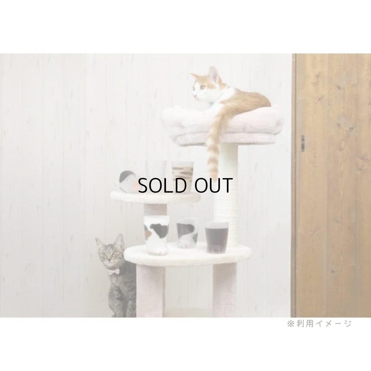 画像11: 【coconeco】親猫コップ　日本製｜３種類から選べる♪　ミケ/トラ/ブチ｜肉球猫足クリームパン｜三毛虎ネコねこ (11)