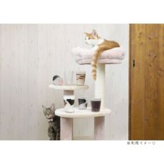 画像11: 【coconeco】親猫コップ　日本製｜３種類から選べる♪　ミケ/トラ/ブチ｜肉球猫足メロンパン｜三毛虎ネコねこ (11)