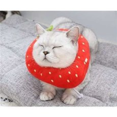 画像1: 国内発送｜エリザベスカラー　いちご　Mサイズ｜ソフトタイプ｜もこもこ食パン　中綿入り｜手術後の傷やケガの保護　コスプレ　記念撮影 (1)