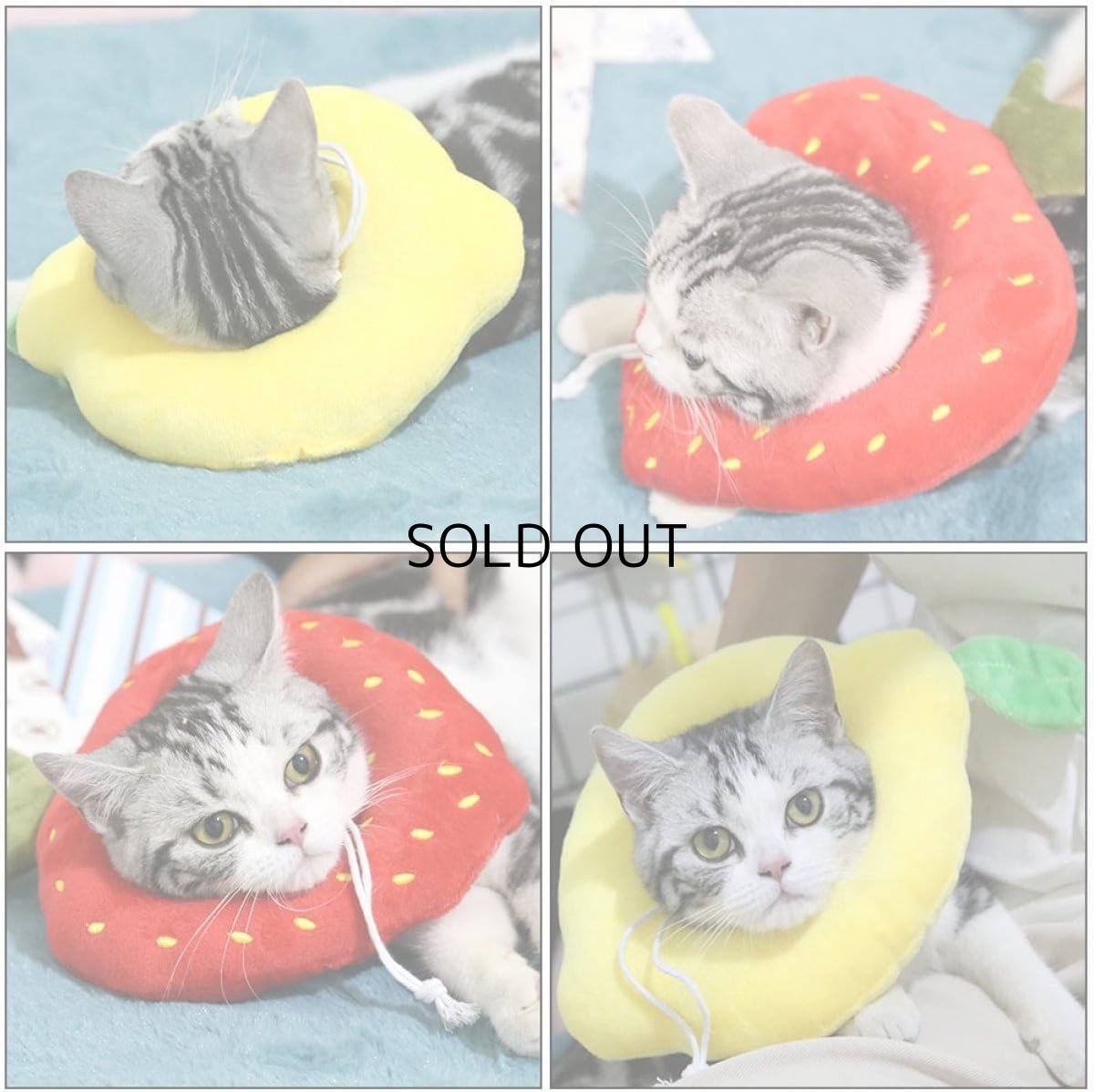 画像3: 国内発送|エリザベスカラー いちご Mサイズ|ソフトタイプ|もこもこ食パン 中綿入り|手術後の傷やケガの保護 コスプレ 記念撮影 (3)