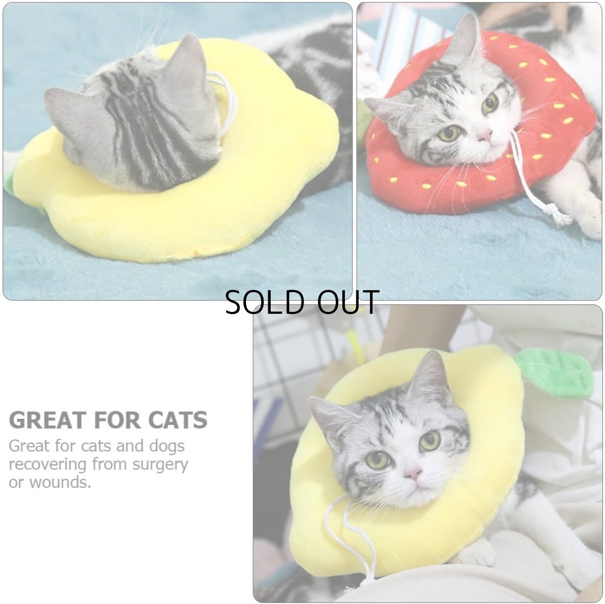 画像6: 国内発送|エリザベスカラー いちご Mサイズ|ソフトタイプ|もこもこ食パン 中綿入り|手術後の傷やケガの保護 コスプレ 記念撮影 (6)