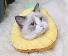 画像1: 国内発送｜エリザベスカラー　パイナップル　Ｓサイズ｜ソフトタイプ｜もこもこ食パン　中綿入り｜手術後の傷やケガの保護　コスプレ　記念撮影 (1)