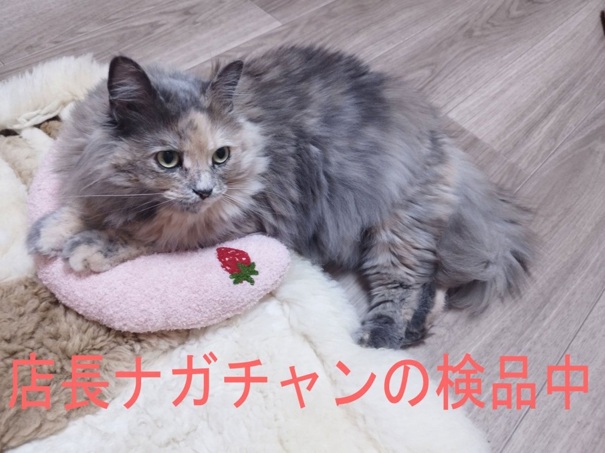 画像7: 国内発送｜猫ちゃん抱き枕｜黄色｜イエローピーチ×チェリー｜ふんわりピロー　もこもこクッション｜リラックス　くつろぎ　保護まくら (7)