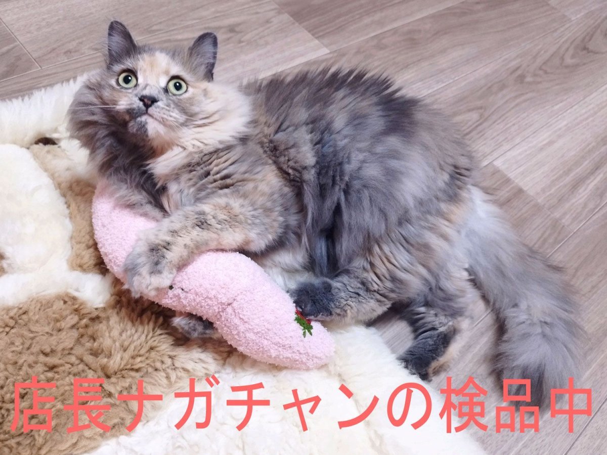 画像8: 国内発送｜猫ちゃん抱き枕｜黄色｜イエローピーチ×チェリー｜ふんわりピロー　もこもこクッション｜リラックス　くつろぎ　保護まくら (8)