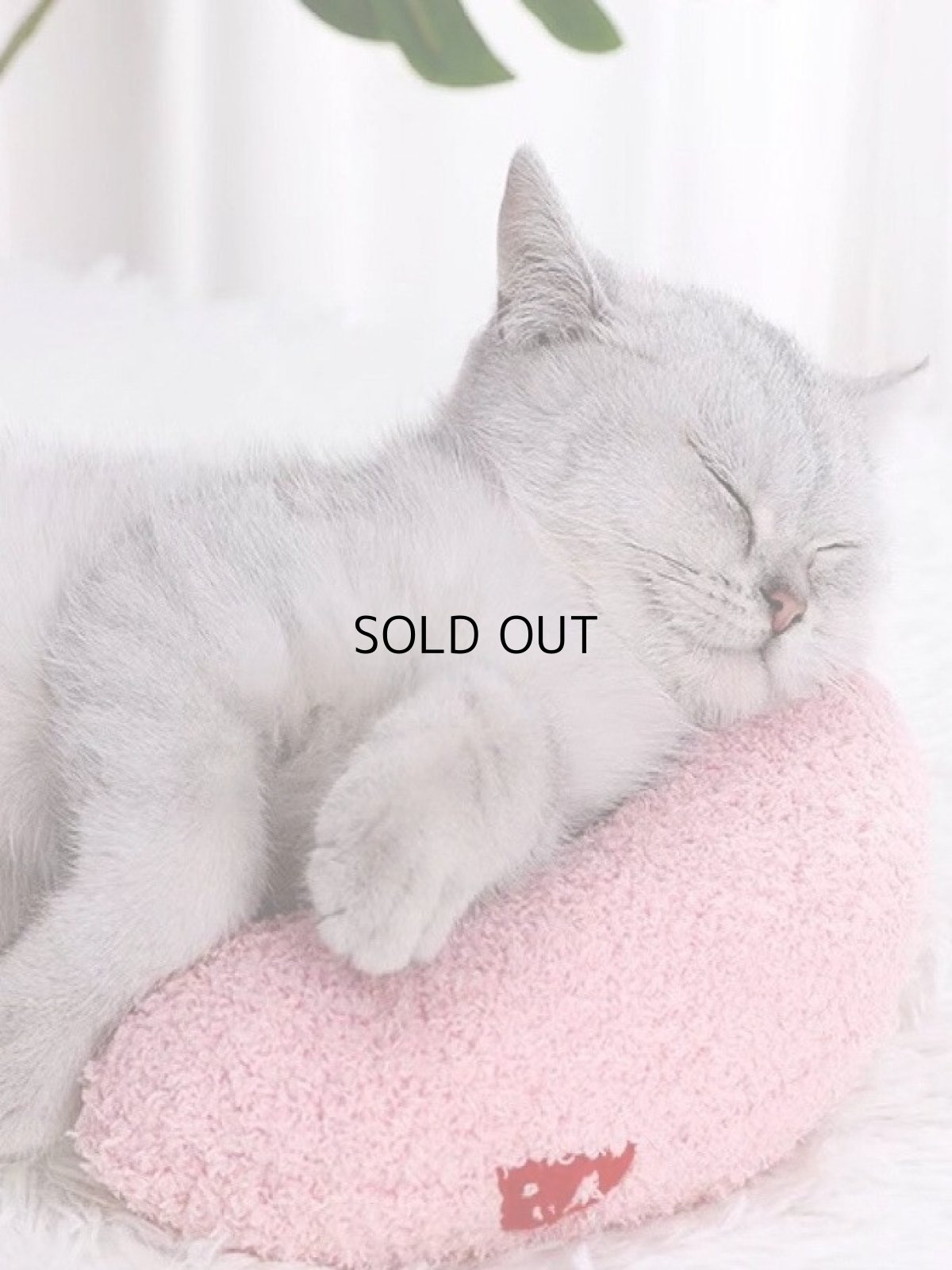 画像3: 国内発送｜猫ちゃん抱き枕｜ピンク｜ベビーピンク×ストロベリー｜ふんわりピロー　もこもこクッション｜リラックス　くつろぎ　保護まくら (3)