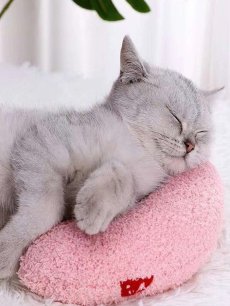 画像6: 国内発送｜猫ちゃん抱き枕｜黄色｜イエローピーチ×チェリー｜ふんわりピロー　もこもこクッション｜リラックス　くつろぎ　保護まくら (6)