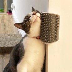 画像3: 国内発送｜どこでもすりすりゴロゴロ♪グルーミングブラシ｜またたびを入れられる｜平面♪壁角♪椅子の足に｜選べるカラー♪赤/青/オレンジ｜ブラッシング　スキンシップ (3)