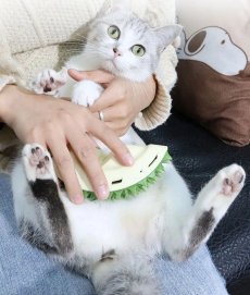画像9: 国内発送｜壁に付けるグルーミングブラシ　イエローハリネズミ型｜またたびを入れられる｜平面♪壁角♪椅子の足に｜ブラッシング　スキンシップ｜ (9)