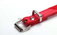 画像7: 国内発送｜ペット用品　ペイズリー柄三角バンダナ首輪｜選べるカラー｜オシャレ可愛い　ハンカチ　記念撮影 (7)