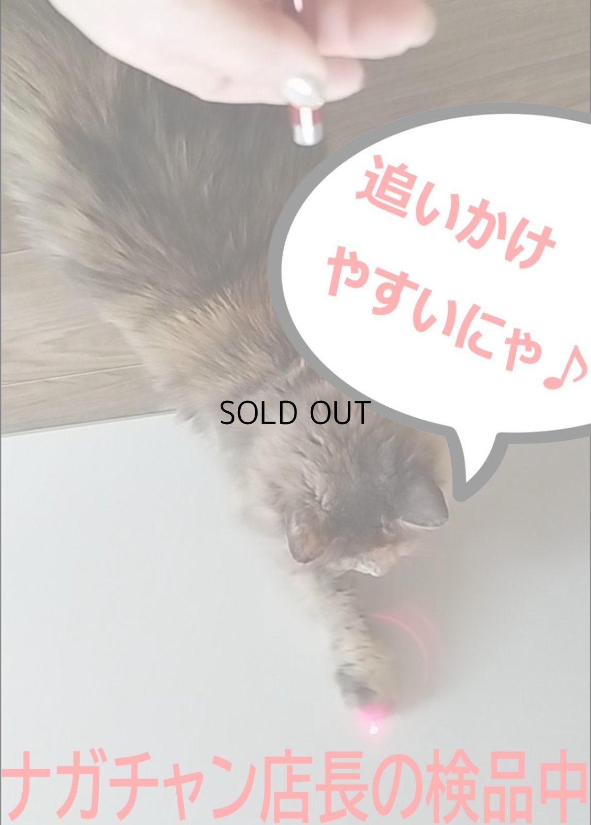 画像10: 国内発送|ペット用品 猫ちゃん猛ダッシュ 猫レーザーポインター|懐中電灯切り替えキーホルダー|ブラック黒|変身 かぶりもの イベント 記念撮影に♪ (10)