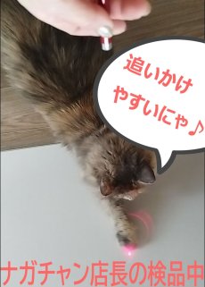 画像10: 国内発送｜ペット用品　猫ちゃん猛ダッシュ　猫レーザーポインター｜懐中電灯切り替えキーホルダー｜レッド赤｜変身　かぶりもの　イベント　記念撮影に♪ (10)