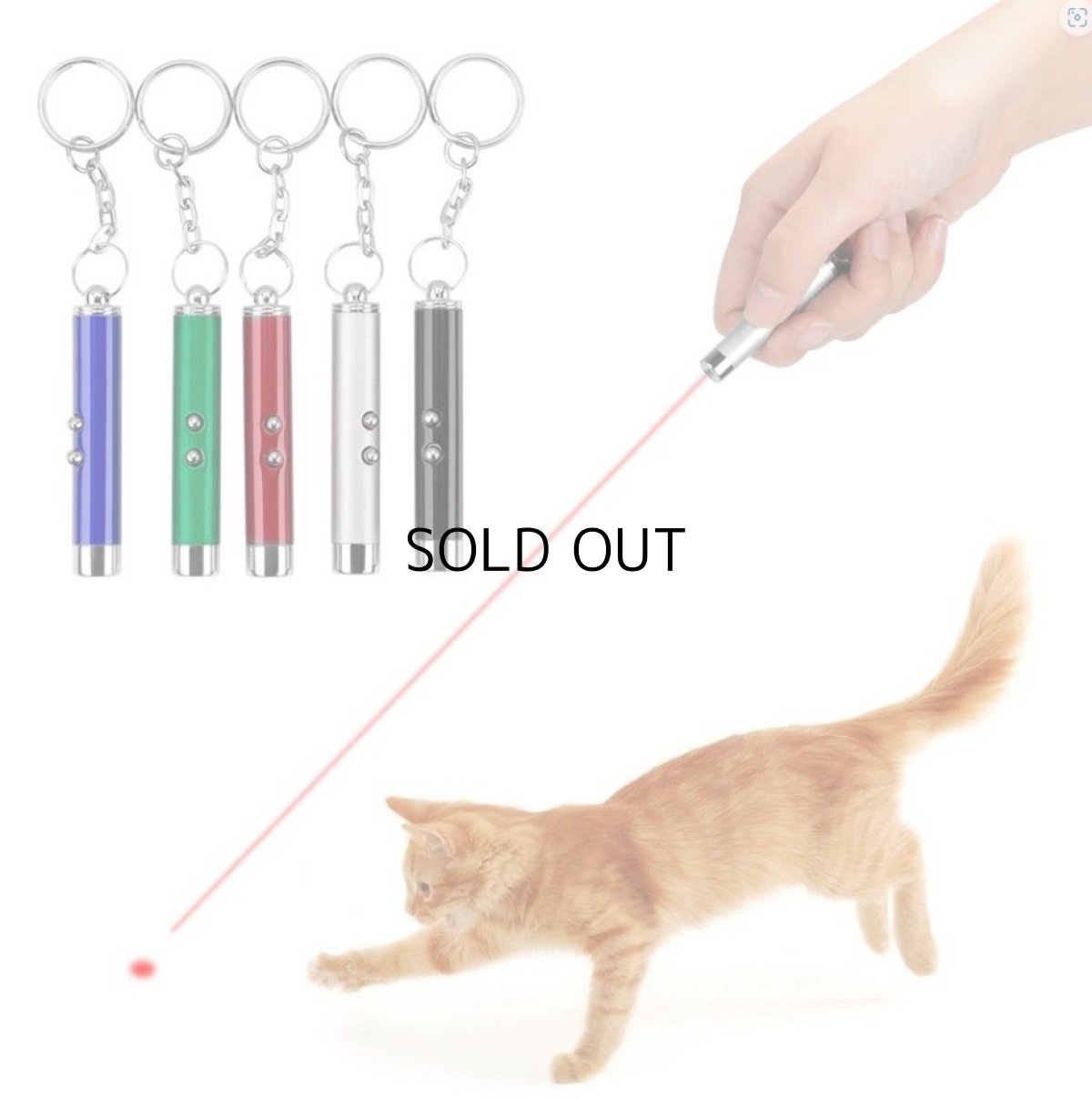 画像6: 国内発送|ペット用品 猫ちゃん猛ダッシュ 猫レーザーポインター|懐中電灯切り替えキーホルダー|ブラック黒|変身 かぶりもの イベント 記念撮影に♪ (6)