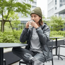 画像2: 【リサ・ラーソン / LISA LARSON】Tシャツ（グレーマイキー） - L ｜ 猫ネコねこcat (2)