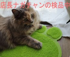 画像7: 国内発送｜!!!訳あり激安!!!ペット用品　おっきな肉球砂取りマット｜丸ごと水洗い可能｜お食事　トイレ　爪とぎ　ペットマット｜猫用おもちゃ　お昼寝　運動　気分転換　スキンシップ　リラックス (7)