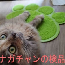 画像6: 国内発送｜!!!訳あり激安!!!ペット用品　おっきな肉球砂取りマット｜丸ごと水洗い可能｜お食事　トイレ　爪とぎ　ペットマット｜猫用おもちゃ　お昼寝　運動　気分転換　スキンシップ　リラックス (6)