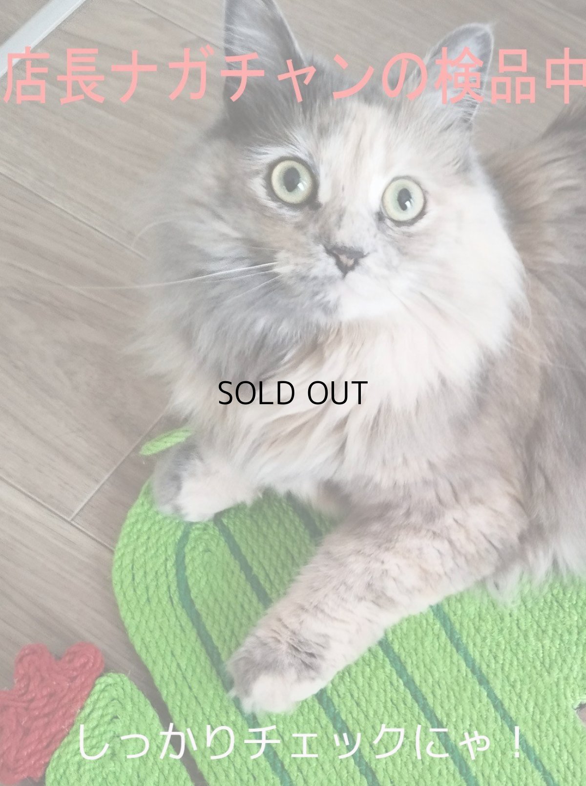 画像9: 国内発送｜天然サイザル麻　オシャレサボテン爪とぎマット｜ペット用品　猫用おもちゃ　お昼寝　運動　気分転換　スキンシップ　リラックス　プレゼント　贈り物 (9)