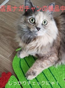 画像8: 国内発送｜天然サイザル麻　ねずみ型爪とぎマット｜ペット用品　猫用おもちゃ　お昼寝　運動　気分転換　スキンシップ　リラックス　プレゼント　贈り物 (8)