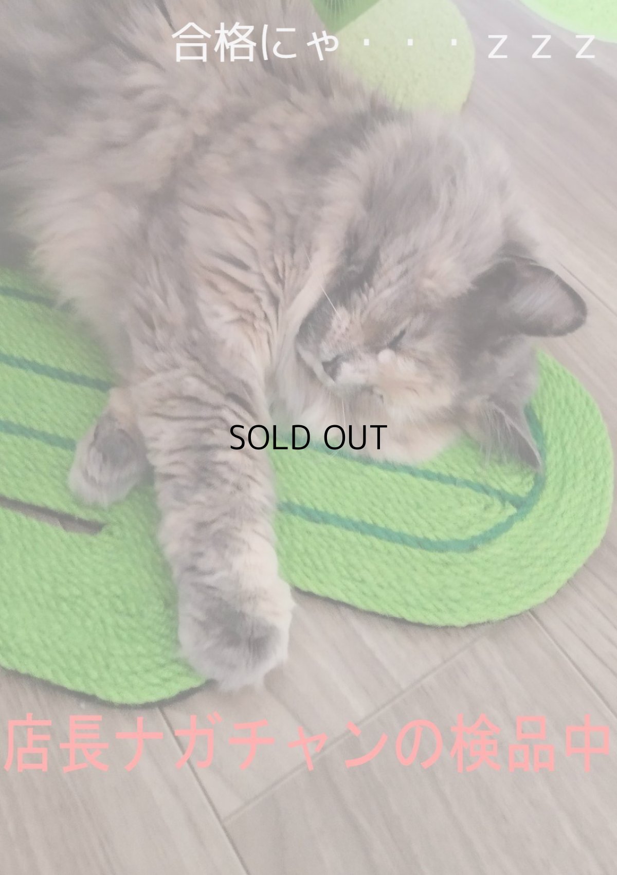 画像10: 国内発送｜天然サイザル麻　オシャレサボテン爪とぎマット｜ペット用品　猫用おもちゃ　お昼寝　運動　気分転換　スキンシップ　リラックス　プレゼント　贈り物 (10)