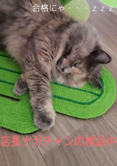 画像9: 国内発送｜天然サイザル麻　ねずみ型爪とぎマット｜ペット用品　猫用おもちゃ　お昼寝　運動　気分転換　スキンシップ　リラックス　プレゼント　贈り物 (9)