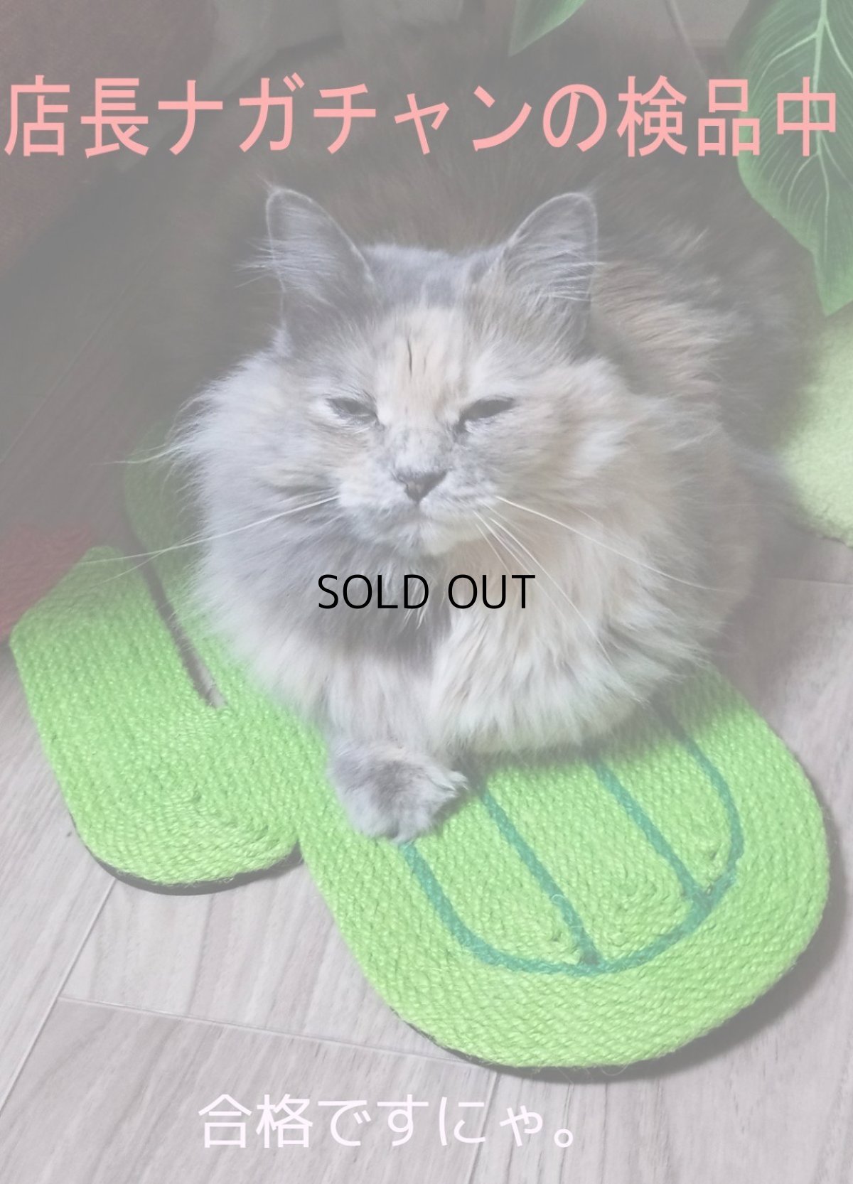 画像11: 国内発送｜天然サイザル麻　オシャレサボテン爪とぎマット｜ペット用品　猫用おもちゃ　お昼寝　運動　気分転換　スキンシップ　リラックス　プレゼント　贈り物 (11)