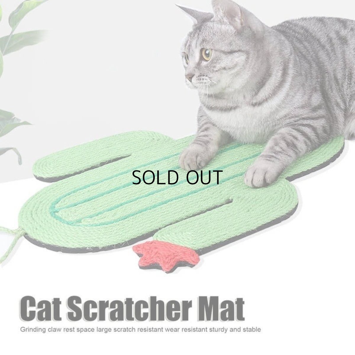 画像1: 国内発送｜天然サイザル麻　オシャレサボテン爪とぎマット｜ペット用品　猫用おもちゃ　お昼寝　運動　気分転換　スキンシップ　リラックス　プレゼント　贈り物 (1)