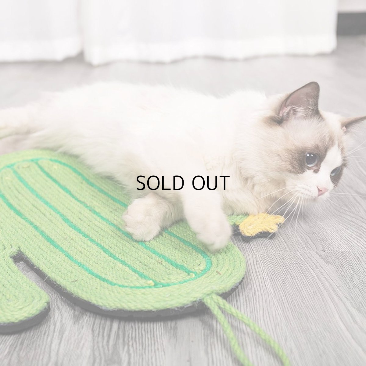 画像2: 国内発送｜天然サイザル麻　オシャレサボテン爪とぎマット｜ペット用品　猫用おもちゃ　お昼寝　運動　気分転換　スキンシップ　リラックス　プレゼント　贈り物 (2)