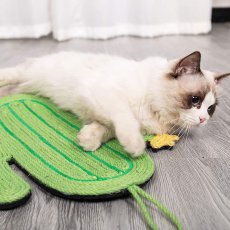 画像2: 国内発送｜天然サイザル麻　オシャレサボテン爪とぎマット｜ペット用品　猫用おもちゃ　お昼寝　運動　気分転換　スキンシップ　リラックス　プレゼント　贈り物 (2)
