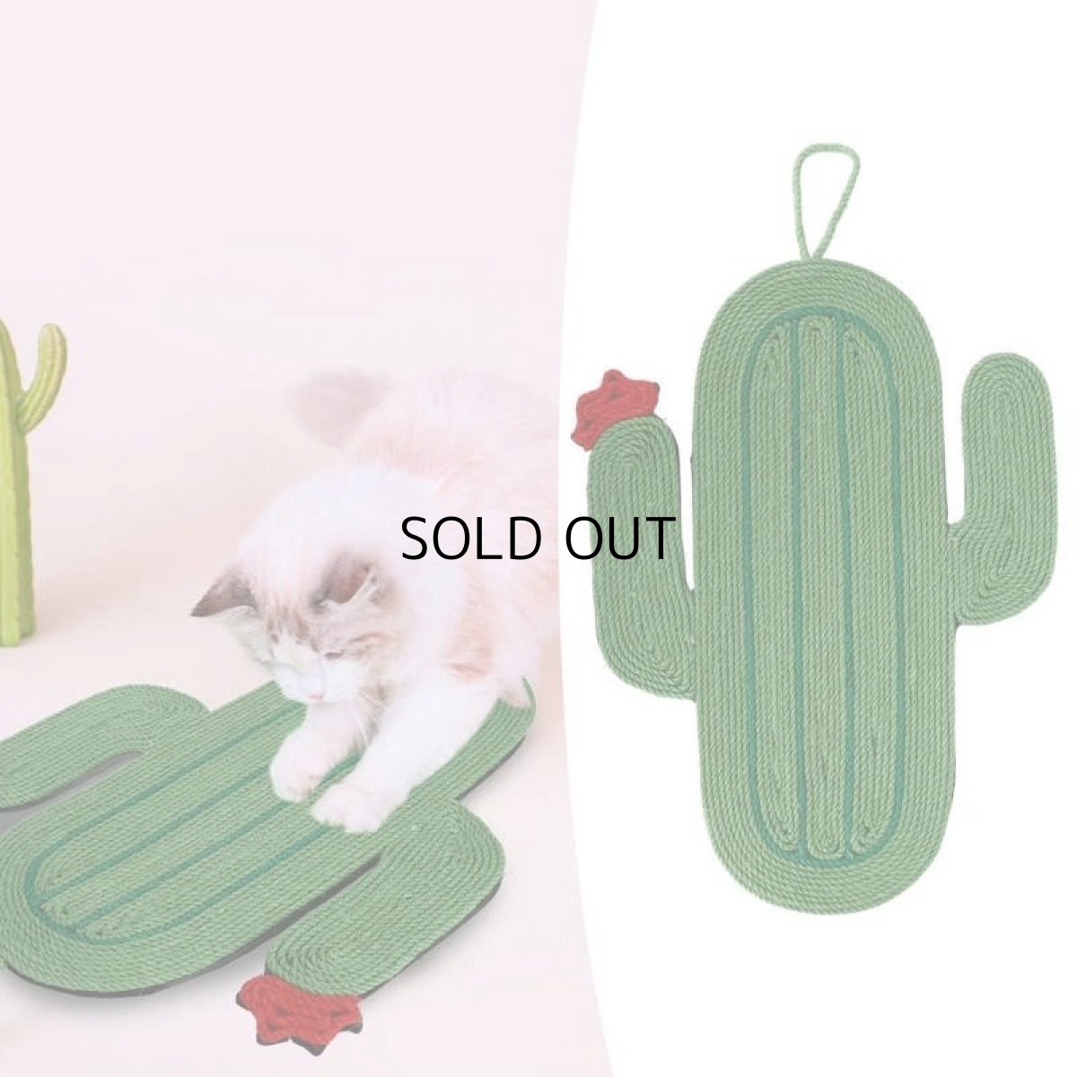 画像4: 国内発送｜天然サイザル麻　オシャレサボテン爪とぎマット｜ペット用品　猫用おもちゃ　お昼寝　運動　気分転換　スキンシップ　リラックス　プレゼント　贈り物 (4)