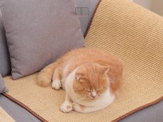 画像2: 国内発送｜天然サイザル麻　オシャレシンプル爪とぎマット｜ペット用品　猫用おもちゃ　お昼寝　運動　気分転換　スキンシップ　リラックス　プレゼント　贈り物 (2)