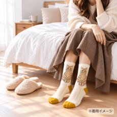 画像2: 松尾ミユキ / Matsuo Miyuki｜ストライプソックス　靴下　Stripe socks｜4種類から選べる  Pumpkin / Noisettes / Pepper / Chloe｜ねこ猫ネコキャットcat (2)