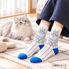 画像7: 松尾ミユキ / Matsuo Miyuki｜ストライプソックス　靴下　Stripe socks｜4種類から選べる  Pumpkin / Noisettes / Pepper / Chloe｜ねこ猫ネコキャットcat (7)