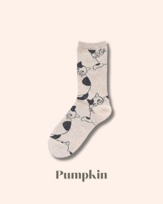 画像2: 【松尾ミユキ】Cat socks｜靴下　くつ下｜選べる4種類　Pumpkin/Noisettes/Pepper/Chloe｜猫ねこネコ (2)